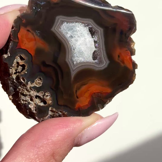 condor agate argentina