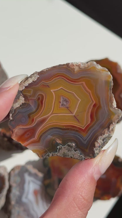 Condor Agate Geode [Argentina] #21