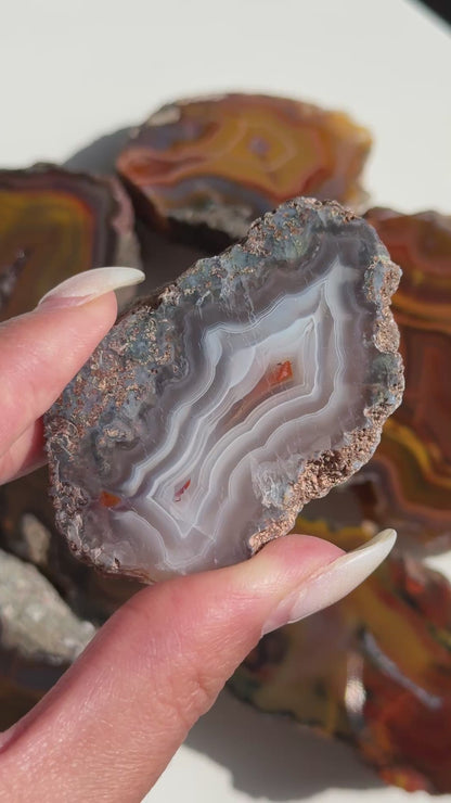 Condor Agate Geode [Argentina] #16