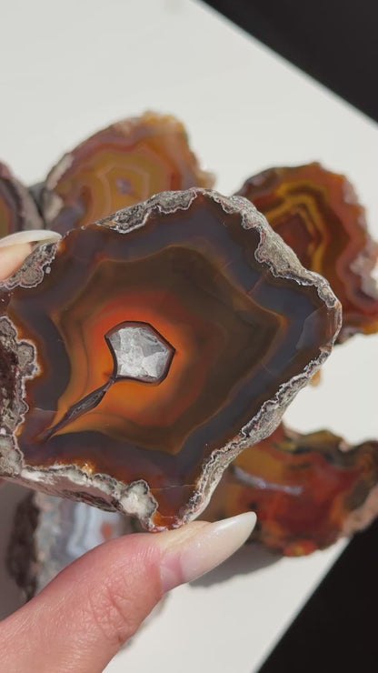 Condor Agate Geode [Argentina] #31