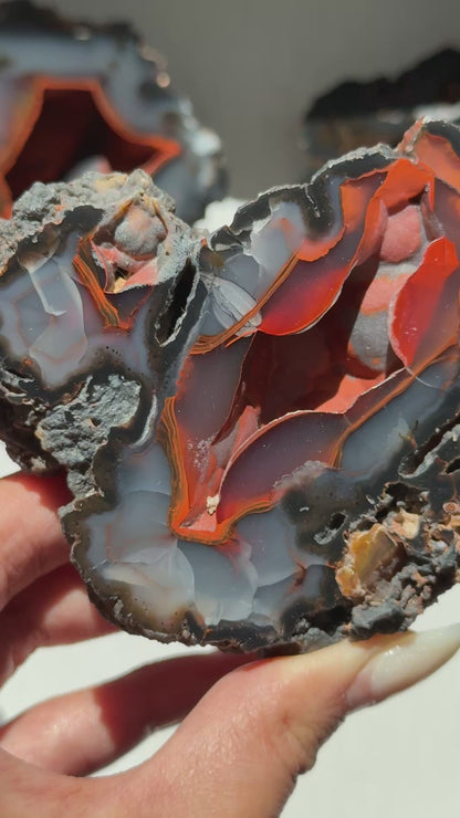 Red Fox Agate Geode (UV Reactive) #7