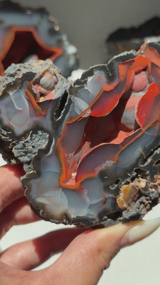 Red Fox Agate Geode (UV Reactive) #7