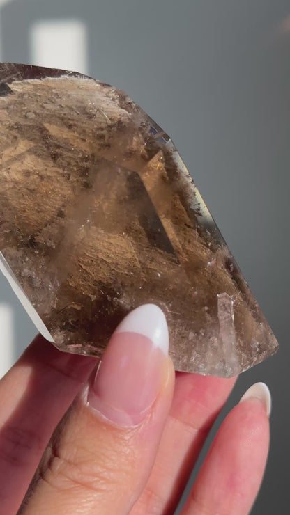 HQ Smoky Quartz Rutile w/ Lodolite Freeform #2