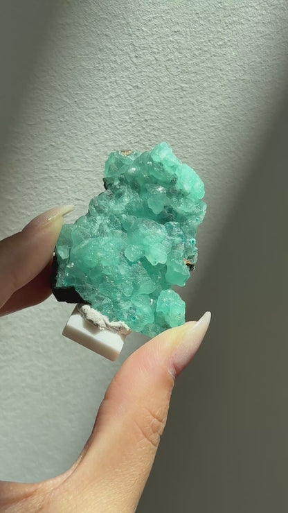 Smithsonite Rosasite Specimen [M'fouati District, Republic of Congo] #33