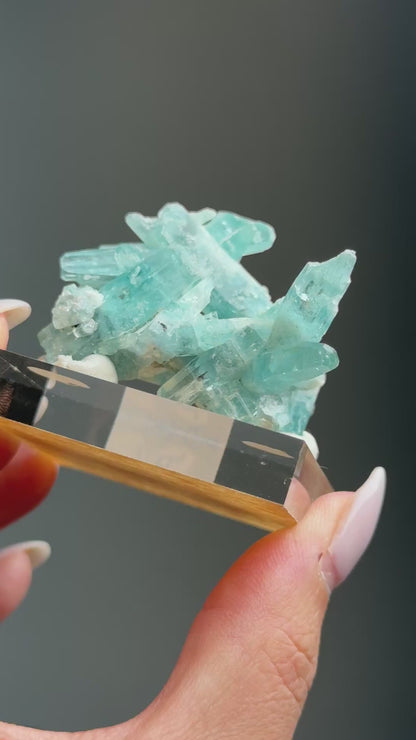 Tapered Aquamarine Specimen (Mimoso del Sol, Espirito Santo, Brazil 1992) #3