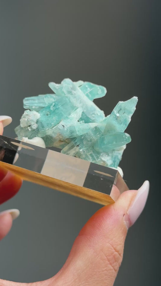 Tapered Aquamarine Specimen (Mimoso del Sol, Espirito Santo, Brazil 1992) #3