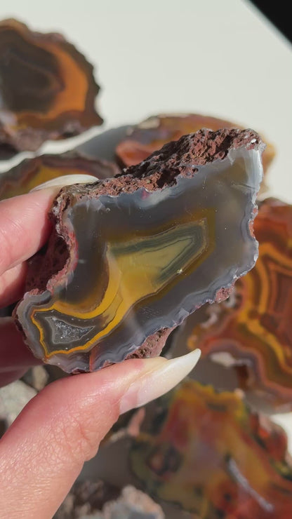 Condor Agate Geode [Argentina] #20