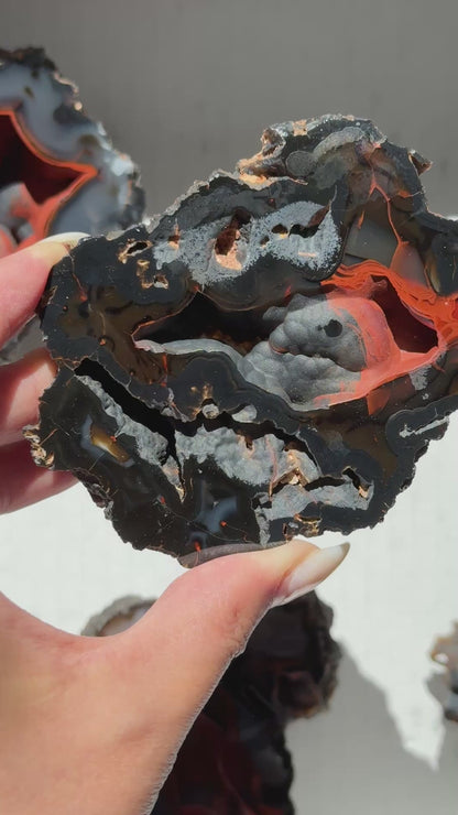 Red Fox Agate Geode (UV Reactive) #8