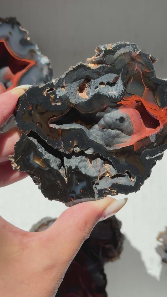 Red Fox Agate Geode (UV Reactive) #8