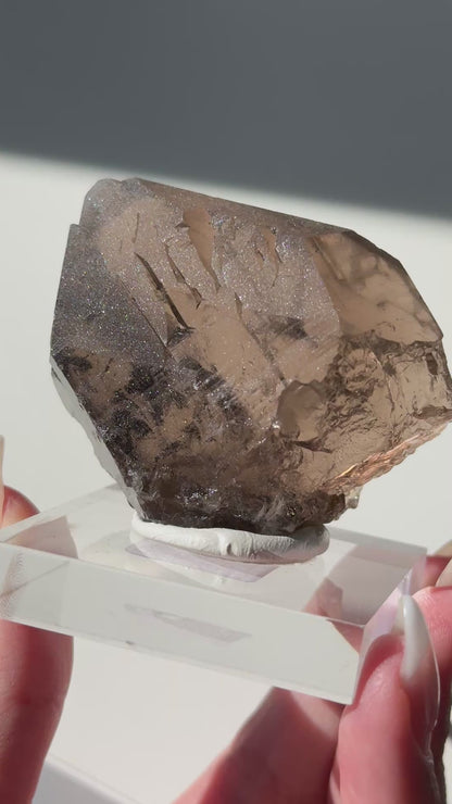 Gwindel Quartz Specimen [Talefre Glacier, Chamonix, French Alps] #10