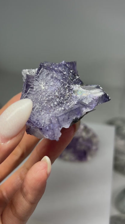 Fluorite w/ Sphalerite (Elmwood Mine)