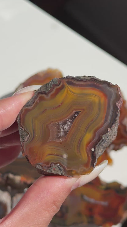 Condor Agate Geode [Argentina] #22