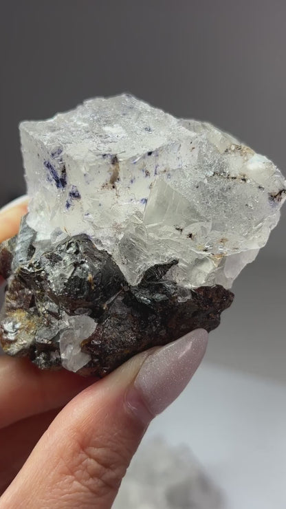 Fluorite w/ Sphalerite (Elmwood Mine)