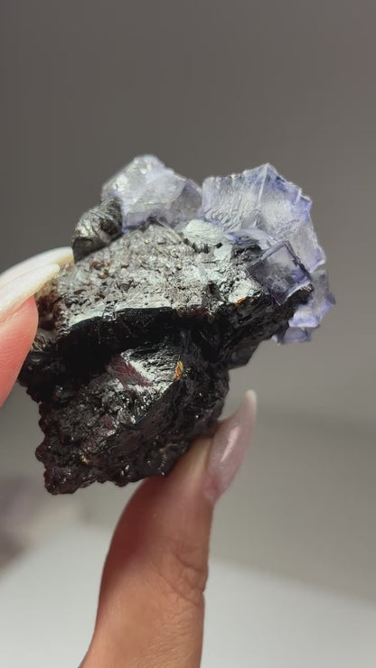 Fluorite w/ Sphalerite (Elmwood Mine)