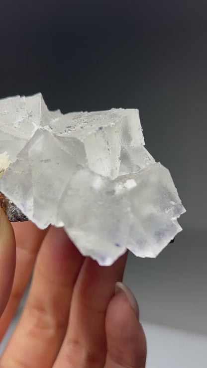 Fluorite w/ Sphalerite (Elmwood Mine)
