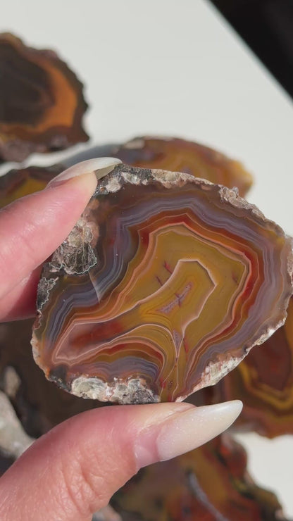 Condor Agate Geode [Argentina] #26
